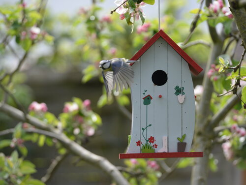 Nistkästen gibt es aus verschiedensten Materialien und Farben shutterstock_558159985.jpg